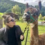 Andrea_Strigl_Alpaka_Trekking