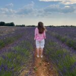 Andrea_Strigl_Provence_1